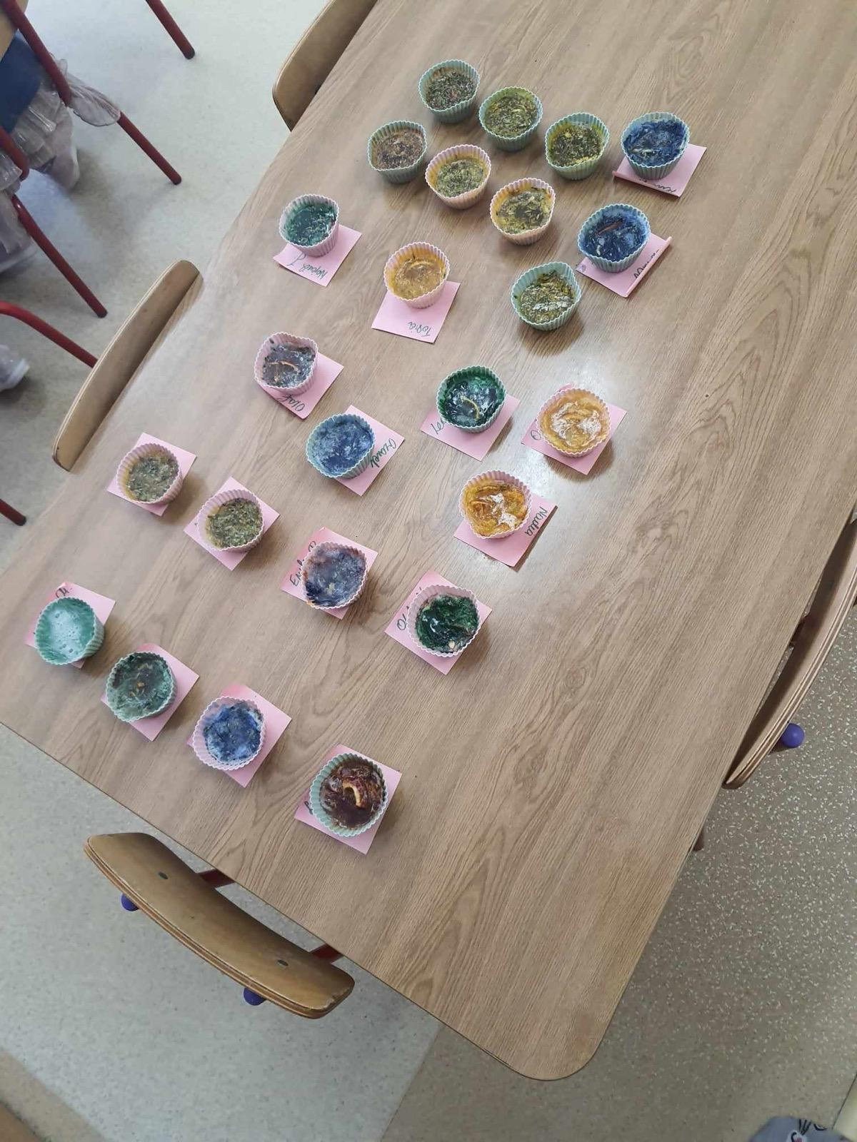 Zdjęcie z portfolio (warsztaty, prace)